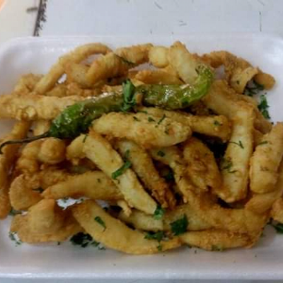 Squid
