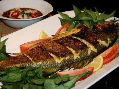 Sea Bass Fish