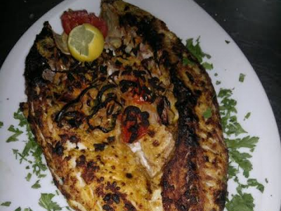 Grouper Fish