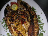 Grouper Fish