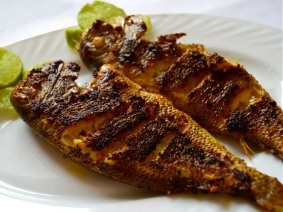 Gilthead Bream Fish