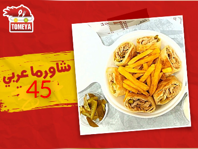 Arabic Chicken Shawarma Meal
