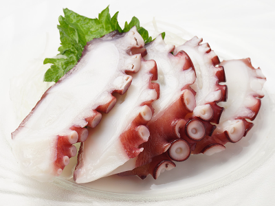 Octopus Tako