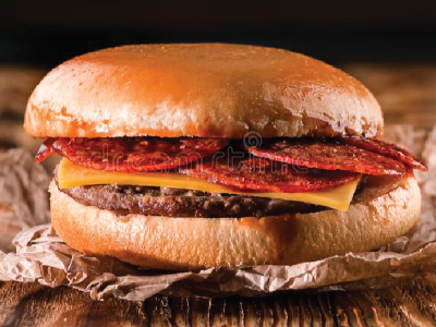 Juicy Lucy Burger Sandwich