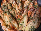 Large Shrimp