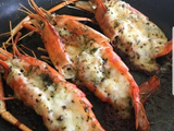 Super Jumbo Shrimp