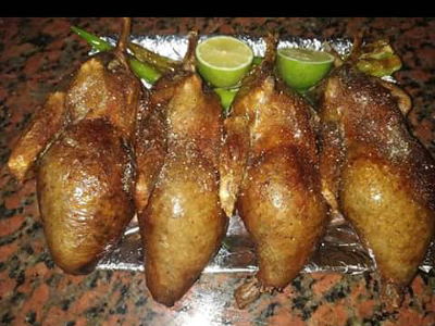 stuffed pigeon