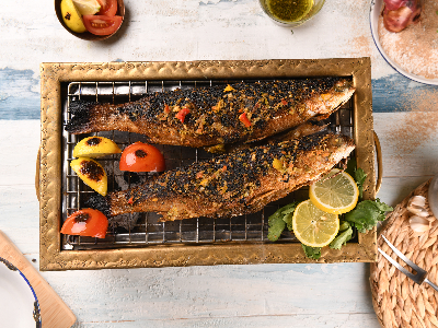 Grey Mullet Fish