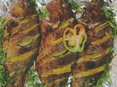 Tilapia Fish