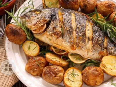 Grey Mullet Fish Meal