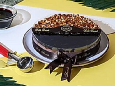 Duo Chocolate And Vanilla Ice Cream Cake 20 Cm