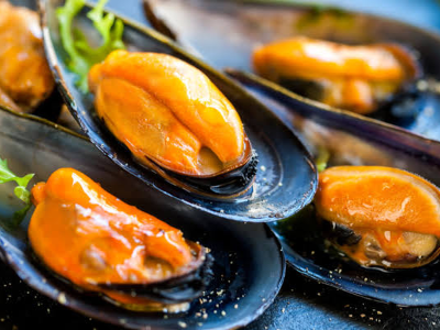 Mussels