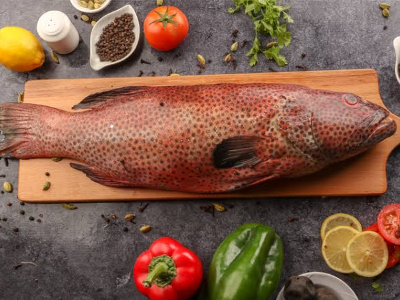 Coral Trout