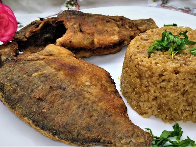 Family Tilapia Fish Meal
