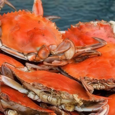 White Sauce Crabs