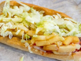 French Fries With Roumi Cheese Sandwich