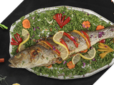 Sea Bass Fish