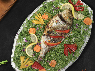 Gilthead Bream Fish