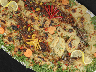 Croaker Fish