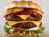 Juicy Lucy Burger Sandwich