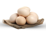 Egg