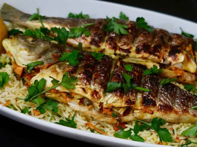Grey Mullet Fish