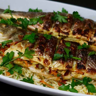 Grey Mullet Fish