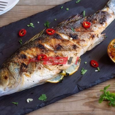 Sea Bass Fish