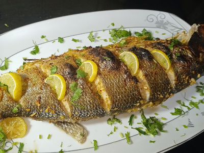 Gilthead Bream Fish