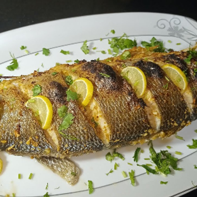 Gilthead Bream Fish
