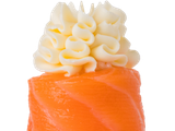 Circle Gunkan Salmon
