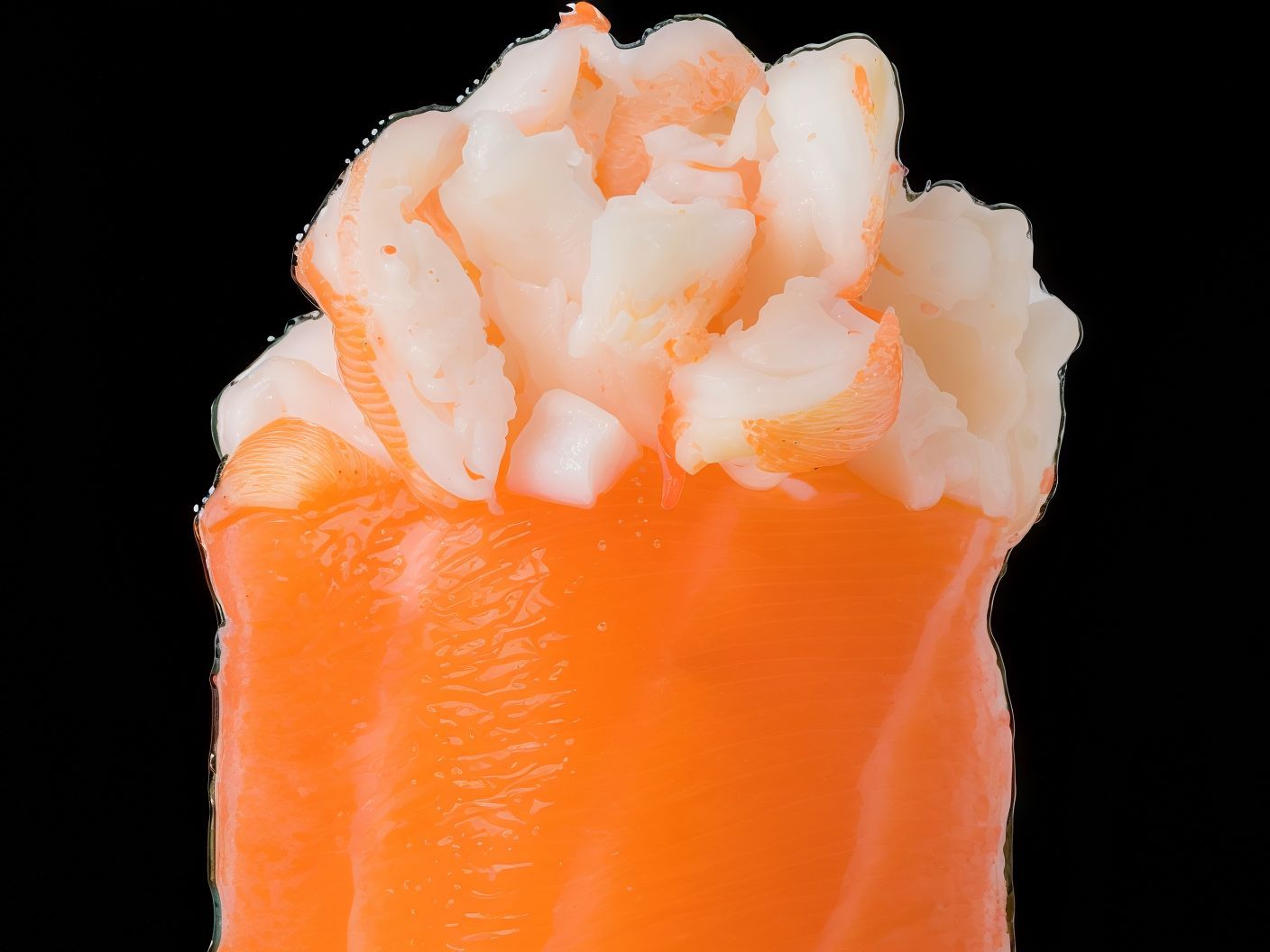 Circle Gunkan Shrimp