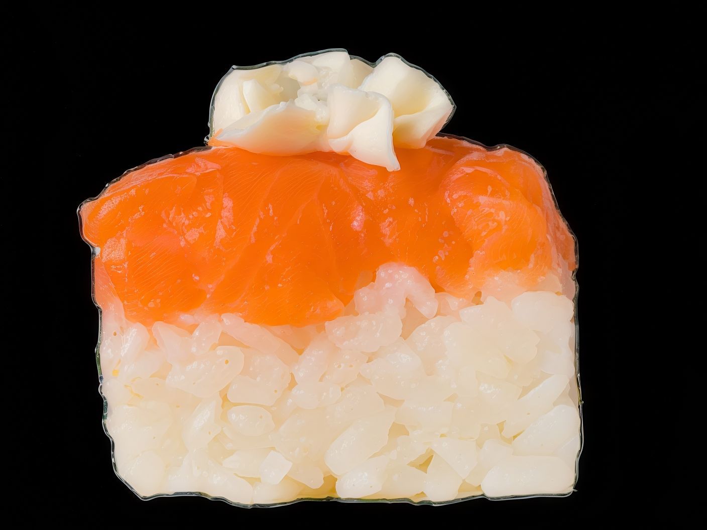 Oshi Salmon