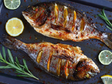 Gilthead Bream Fish Meal