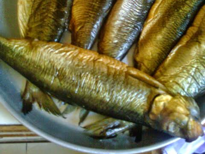 Herring