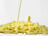 Cheese French Fries