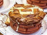 طاجن جالكسي