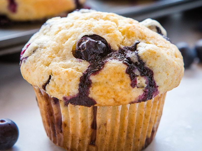 Blueberry Muffins