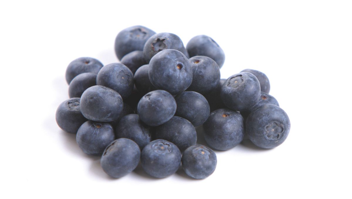 Extra Blueberry Topping