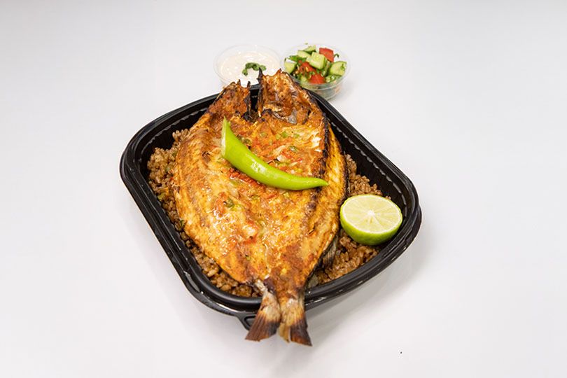Grey Mullet Fish Meal Offer