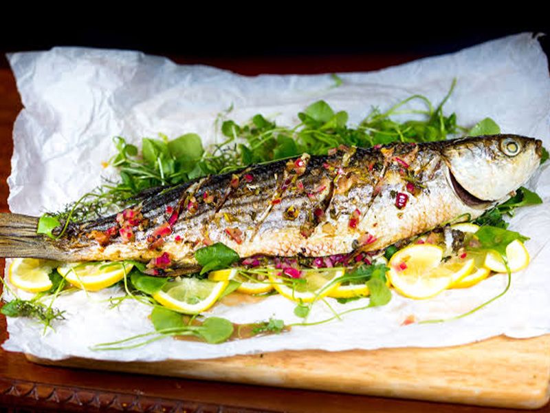 Grey Mullet Fish