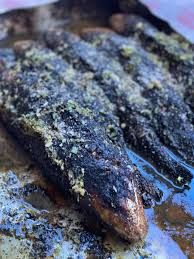 Blue Fish