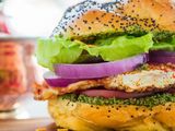 Egg Burger Sandwich
