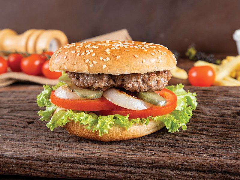 Plain Beef Burger Sandwich