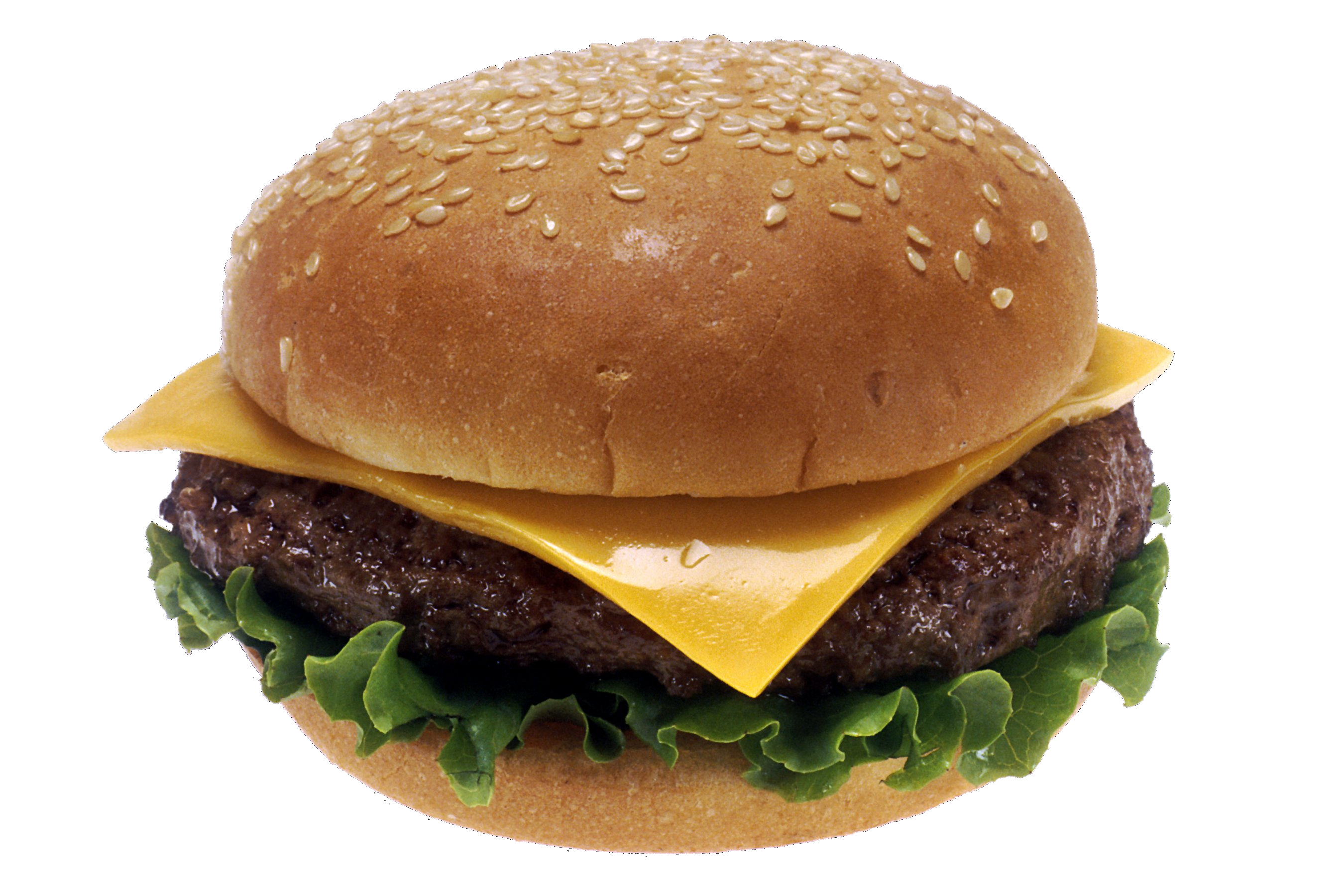 Beef Burger With Cheese