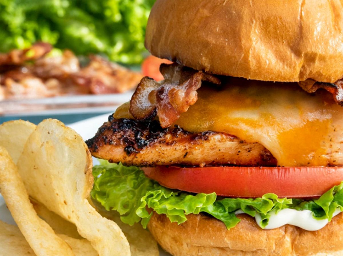 chicken Grill sandwich