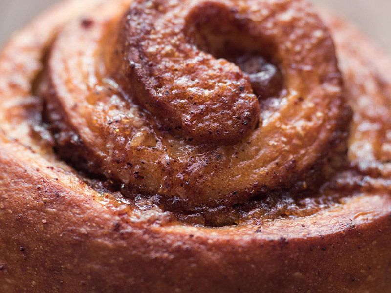 Classic Cinnamon Roll