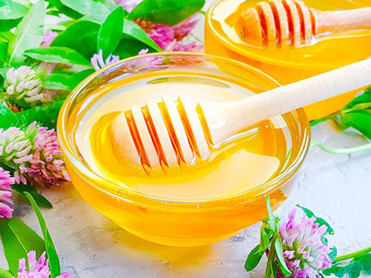Clover Flower Honey