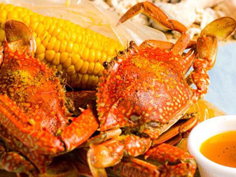Crab Female