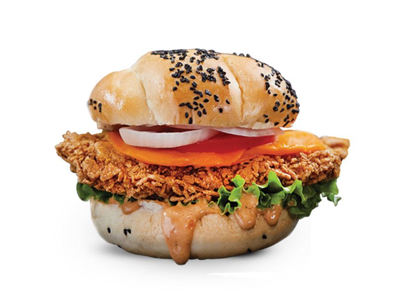 Crispy Chicken Burger Sandwich
